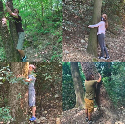 ForestBathing Collage